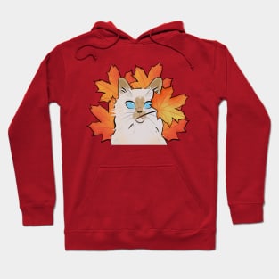 Cute Cat in fall Hoodie